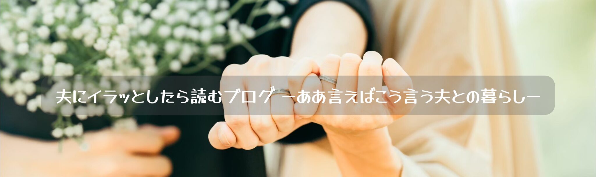 夫にイラッとしたら読むブログ ーああ言えばこう言う夫との暮らしー